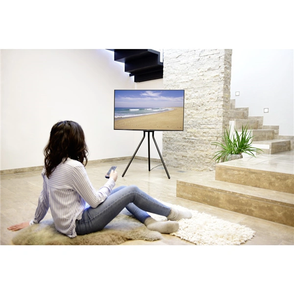 Hama TV stojan Easel, podlahový, 600x400