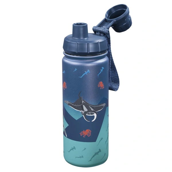 Izolovaná láhev na pití z nerezové oceli Step by Step 0,5 l, Underwater