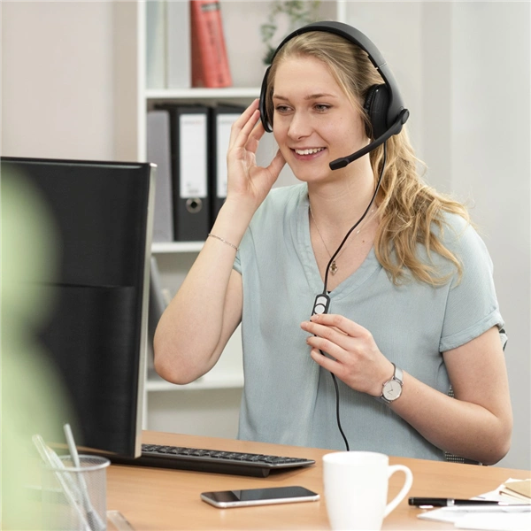 Hama PC Office Headset HS-USB300