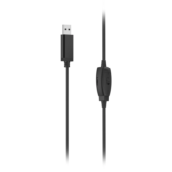 Hama PC Office Headset HS-USB250 V2
