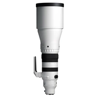 SIGMA 300-600mm F4 DG OS Sports pro Sony E