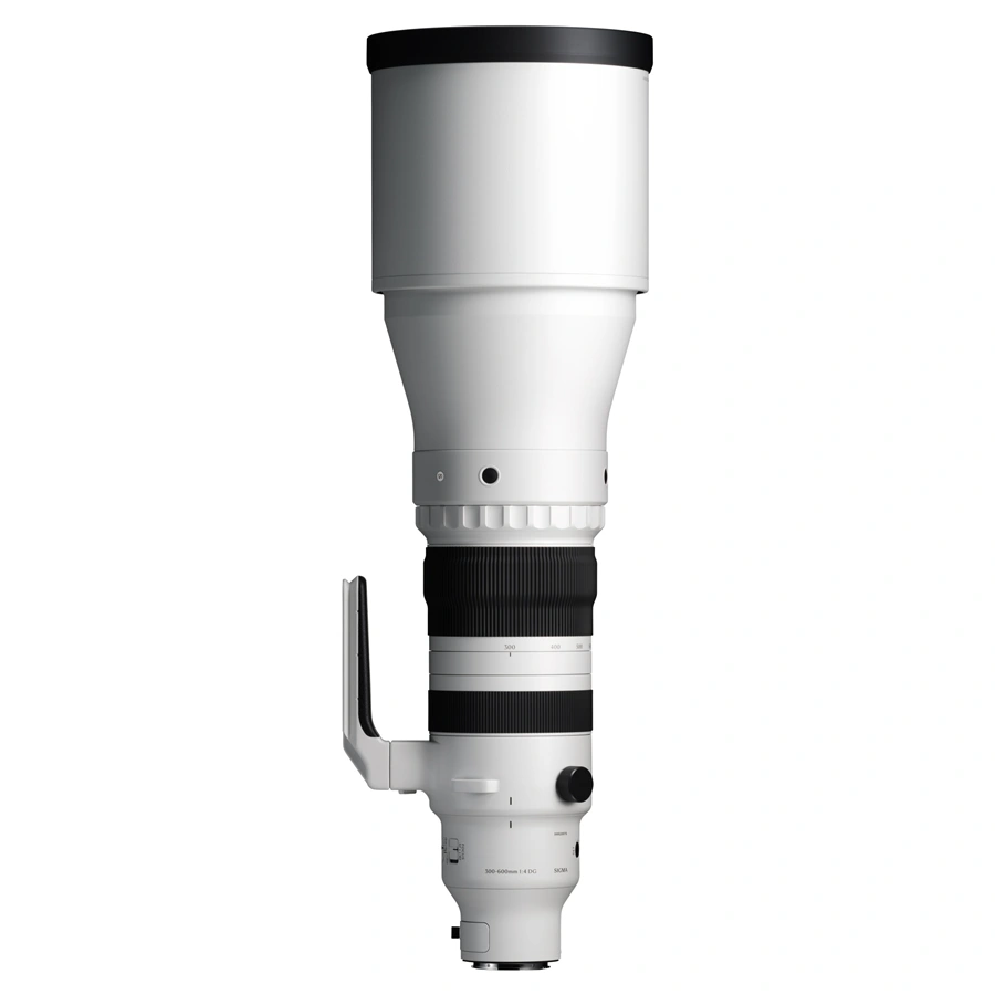SIGMA 300-600mm F4 DG OS Sports pro Sony E