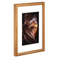 Hama rmeek devn PHOENIX, korek, 10x15 cm
