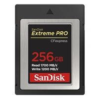 SanDisk Extreme PRO CF expres 256 GB, Type B