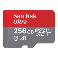 SanDisk Ultra microSDXC 256 GB (A1/UHS-I/Cl.10/150 MB/s)