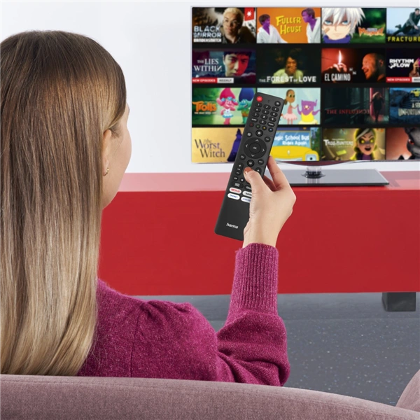 Hama univerzální ovladač 1:1 pro TV Hisense