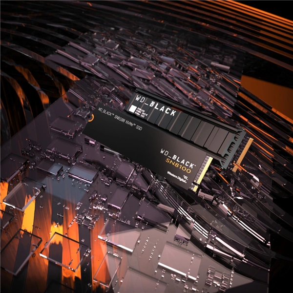 WD BLACK SN8100 PCIe 5.0x4 NVMe M.2 SSD 1 TB