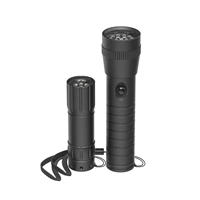 Hama FL-DUO, LED svítilny, hliníkové, 25 lm / 60 lm, poutko na ruku, vč. baterií, set 2 ks