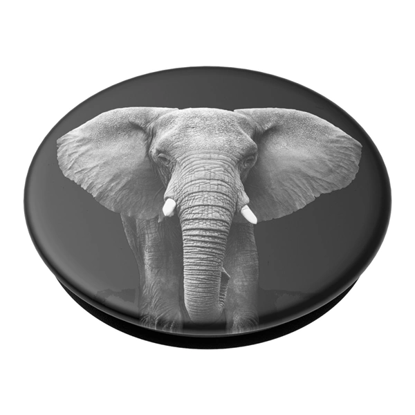 PopSockets PopGrip Gen.2, Loxodonta Africana, slon africký