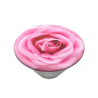 PopSockets PopTop Gen.2, Rose All Day, růžová růže, výměnný vršek