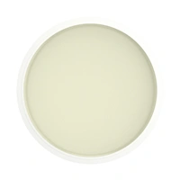 PopSockets Gen.2 PopLips, Vanilla Dream, náhradní nápl, vanilka, 2 ks
