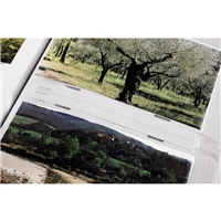 Hama album memo MALI 9x13/200, popisov ttky